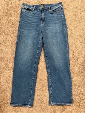 J. Crew Women's Straight Leg Stovepipe Jeans in Medium Blue Wash